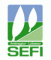 reglement jeu SEFI